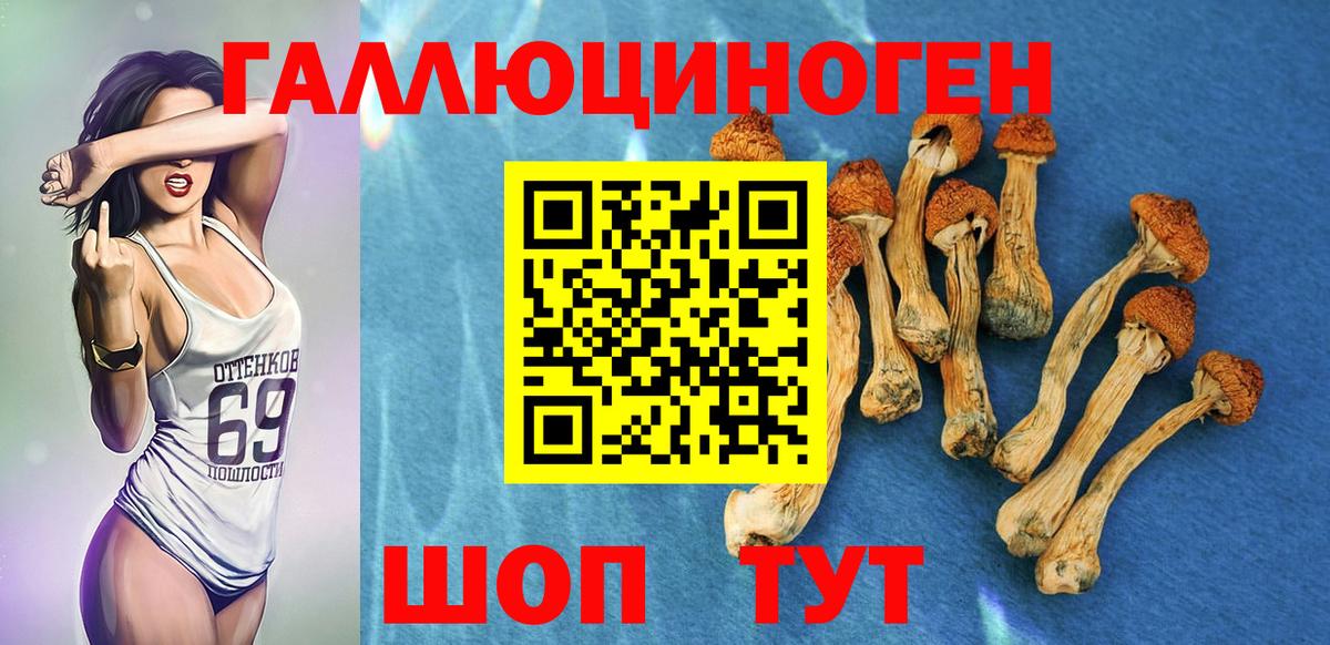 Псилоцибиновые грибы Psilocybine cubensis Сунжа