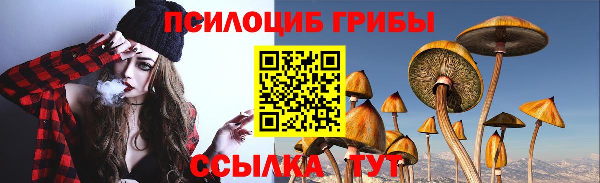 Галлюциногенные грибы MAGIC MUSHROOMS  Вход с VPN  Сунжа 